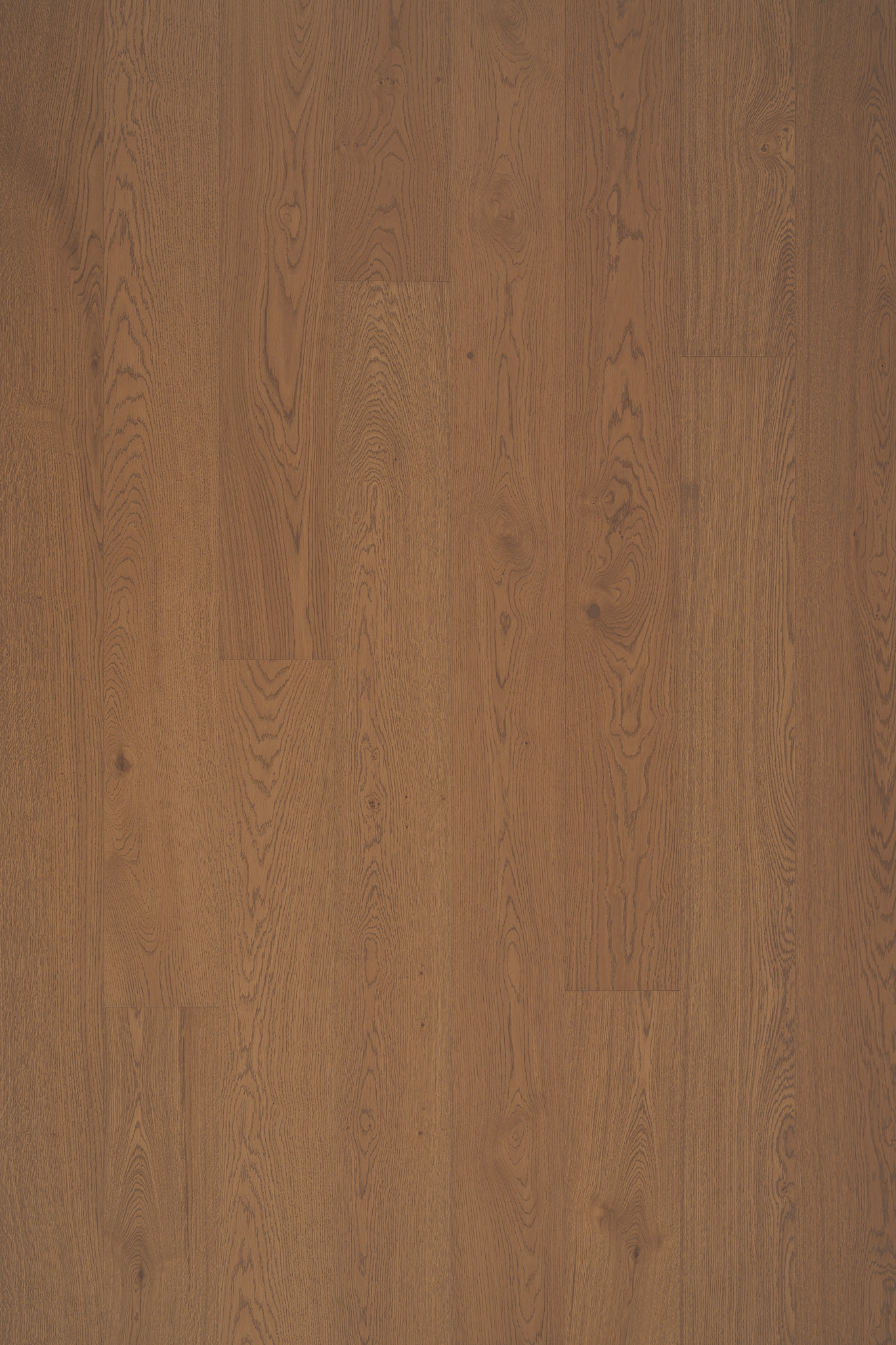 Timberwise_Tammi_Classic_Caramel_lores-e1681463872718