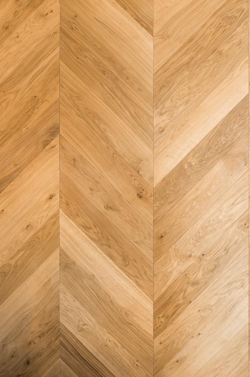 timberwise-4-e1619095163471